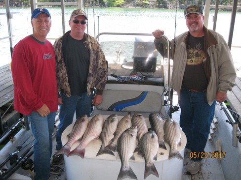 Nice Striped Bass